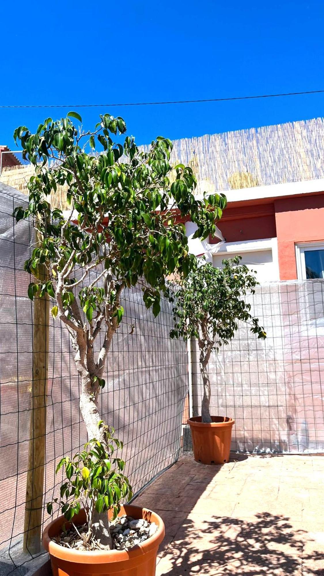 Apartamento Leyda En Marbella Luaran gambar